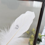 Baby Feet Real Feather Floating Frame