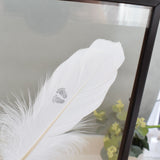 Baby Feet Real Feather Floating Frame