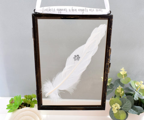 Paw Print Real Feather Floating Frame