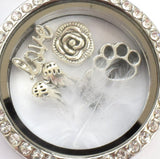 In Memory of Pet. Dog / Cat Paw Round Diamonte Locket Keyring