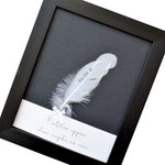 Personalised Feather In Memory Frame