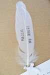 Memorial Frame Gift. Fully Personalised Feather